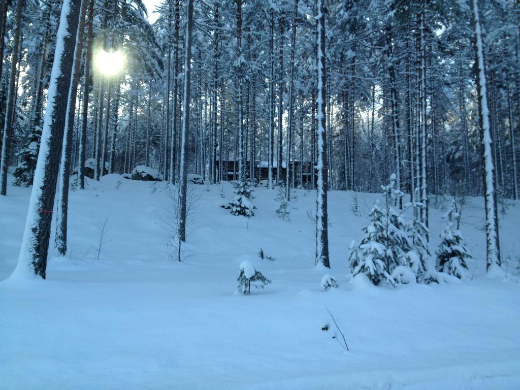 Kultainen Kaava Cottages Padasjoki Exterior photo